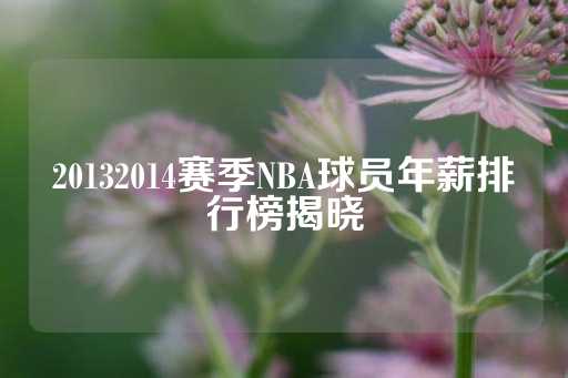 20132014赛季NBA球员年薪排行榜揭晓-第1张图片-皇冠信用盘出租