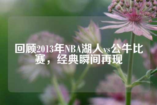 回顾2013年NBA湖人vs公牛比赛，经典瞬间再现