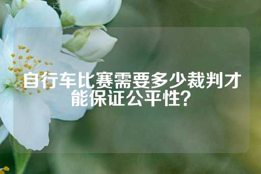 自行车比赛需要多少裁判才能保证公平性？