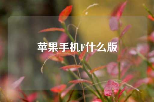 苹果手机F什么版